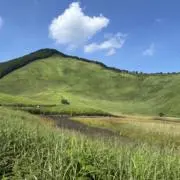 ゆみちゃんの画像