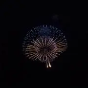 桜桃の画像