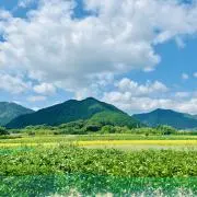 hyuggeの画像