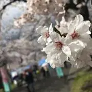 ぺけ