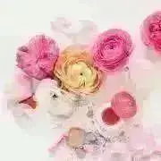 りらこ　プロフィールご確認お願いしますの画像