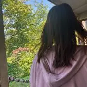 シマの画像