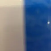 葉っぱの画像