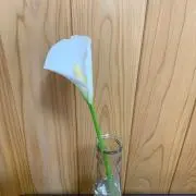 satoの画像