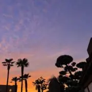 yuzuの画像
