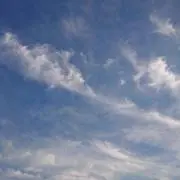 みかんの画像