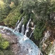 月寒の画像