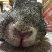 フーコ★プロフ必読☆