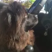 JJの画像