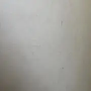 elの画像