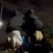 Mの画像