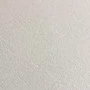 lemonの画像
