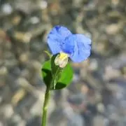 R・×・O(必ずプロフィール確認下さい)の画像