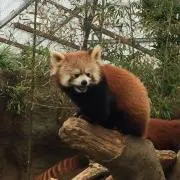 wxyzの画像