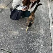 K【プロフィール読んでください。！】の画像