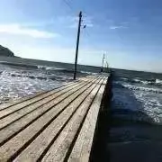 れおたん＊プロフ必読＊の画像