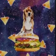 nacho