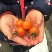 koumeの画像