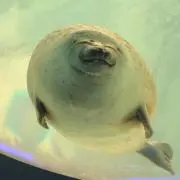 なの画像