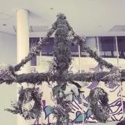 とうもろこしの画像