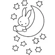 かっさーの画像
