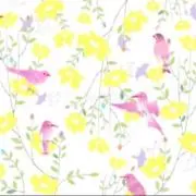 hoshiの画像