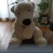 ホッキョクグマの画像