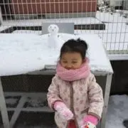 sakuraの画像
