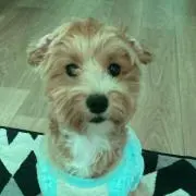 みずの