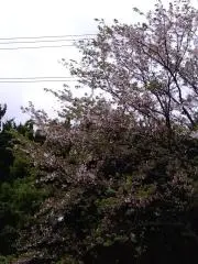 アス※はお値下げ中の画像