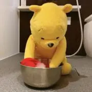ラッキーの画像