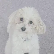 なむる　値下げ交渉可