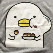 メーテルの画像