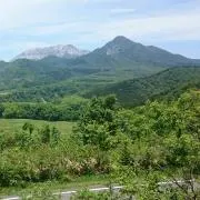 ☆マーチ☆の画像