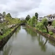 くろあの画像