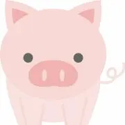 とんとん⭐の画像