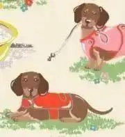 ニコ⭐︎即購入不可。コメント下さい！の画像