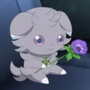 あぼかどちゃんの画像