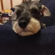 ひとみんの画像