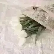 hano-単品での値下げ不可-の画像