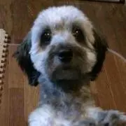 あず