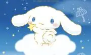シナモン☆の画像