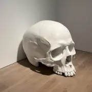 まーもっとの画像