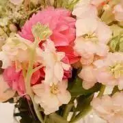 はる(購入前プロフ読んで下さい)の画像