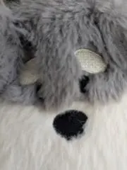 てぃもんの画像