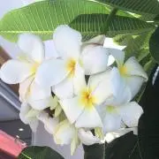 大幅値下げ中★tamin★の画像
