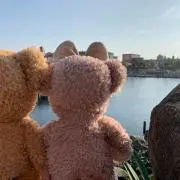 ハルの画像