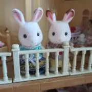IKONの画像