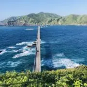 どもすの画像