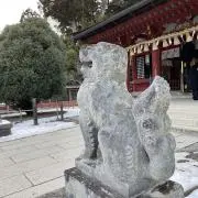 chok /の画像